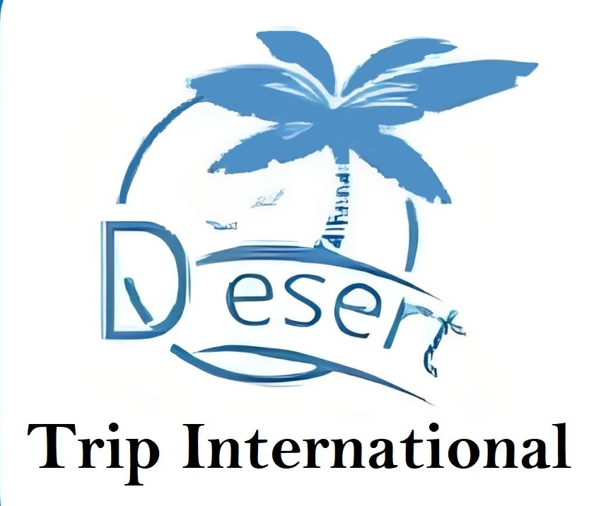 Desert Trip International